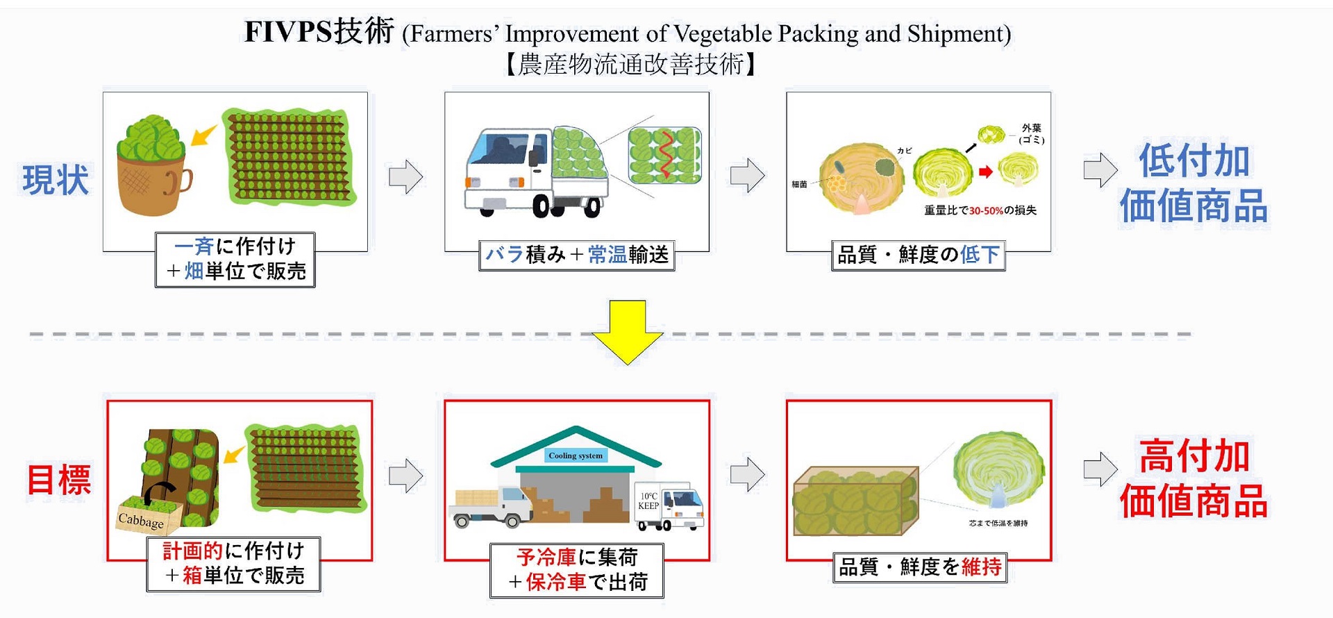 FIVPS技術図解