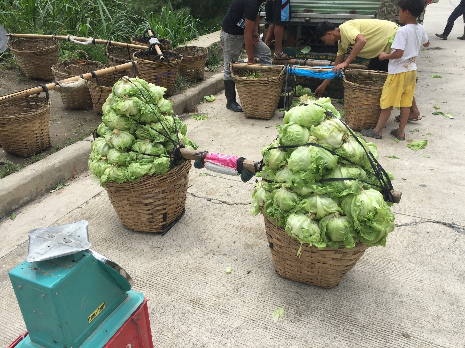 野菜輸送工程の不備