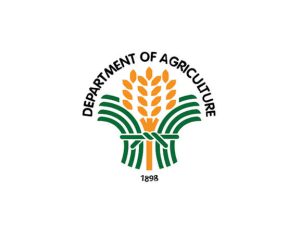 フィリピン農業省 / Department of Agriculture Philipines